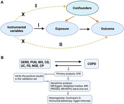 Common gastrointestinal diseases and chronic obstructive pulmonary disease risk: a bidirectional Mendelian randomization analysis